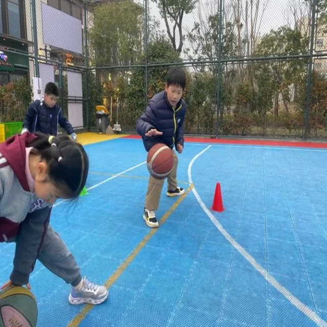 网球红土赛程观察与第63组焦点解析